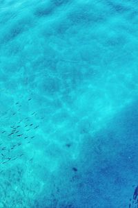 High angle view of swimming pool