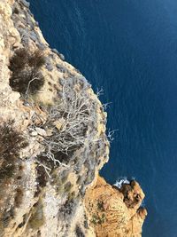 High angle view of rock formation in sea