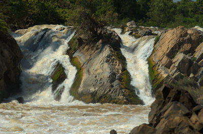 Scenic view of waterfall in forest