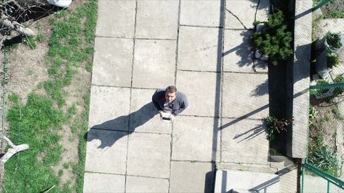 High angle view of man shadow on plant on sunny day