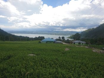 Scenic view of field against sky