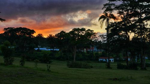 Scenic view of silhouette trees against sky during sunset