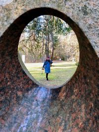 Rear view of man cycling on tree trunk