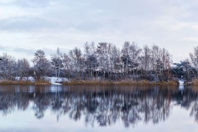 Reflection of trees in lake against sky