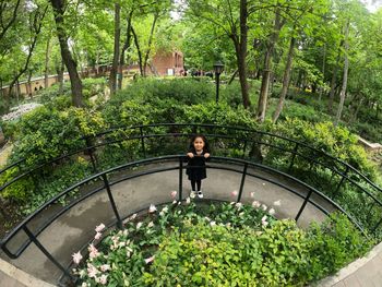 Girl in a green garden