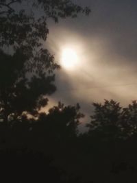 Low angle view of silhouette trees against sky during sunset