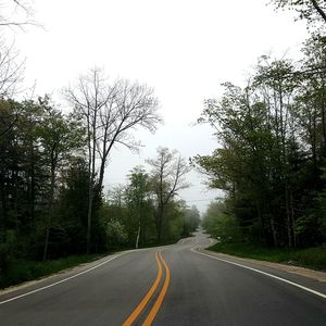 Empty road along trees