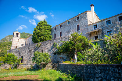 Plants growing on old building against sky