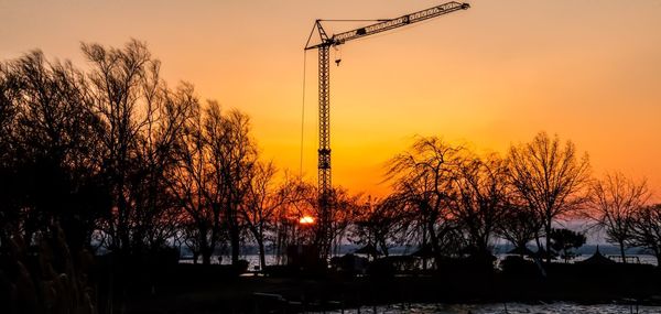 Silhouette trees against sky during sunset