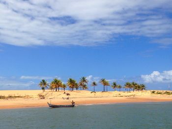 View of palm trees on beach