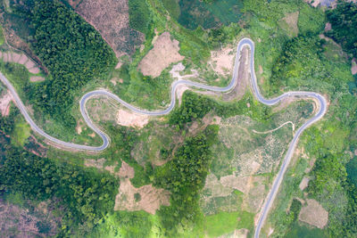 High angle view of road amidst trees in forest