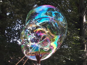 High angle view of bubbles in park