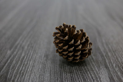 Close-up of pine cone on table