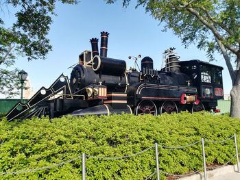 Train by trees against sky