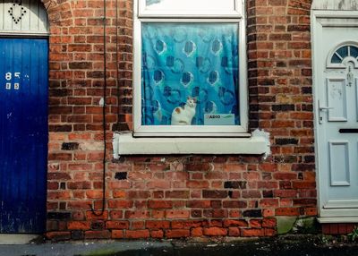 Window on wall of building