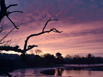 Silhouette tree by lake against sky during sunset