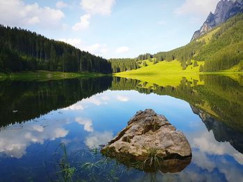 Reflection of trees in lake