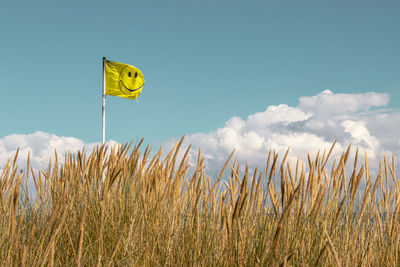 Low angle view of yellow flag on field against sky