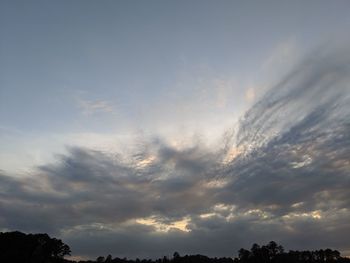 Low angle view of silhouette trees against sky during sunset