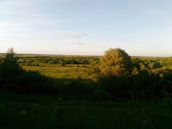 Scenic view of field against sky