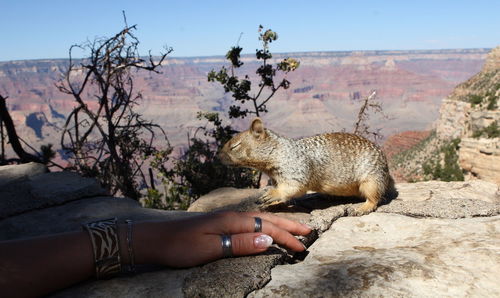 Midsection of person holding rock