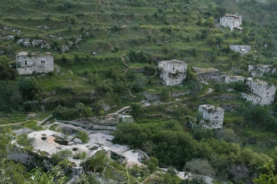 High angle view of trees and buildings