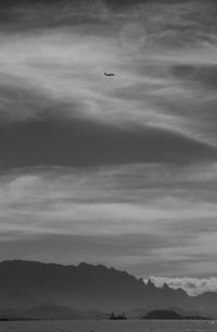 Seagull flying over sea against sky