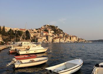 Sailboats moored on sea by buildings against sky