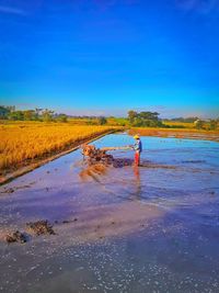 Scenic view of sea against clear sky
