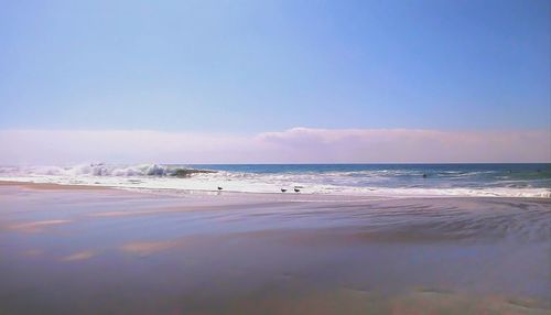 Scenic view of beach