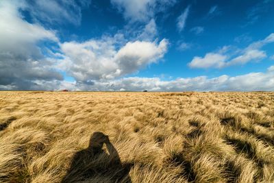 Idyllic view of grassy landscape against sky