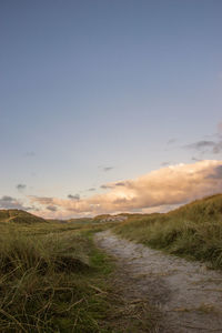 Scenic view of field against sky during sunset