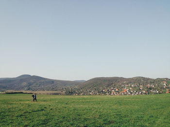 Scenic view of grassy field