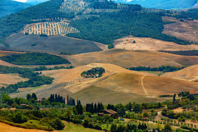 High angle view of trees on land