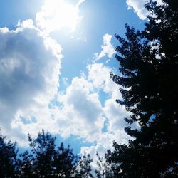 Low angle view of trees against cloudy sky