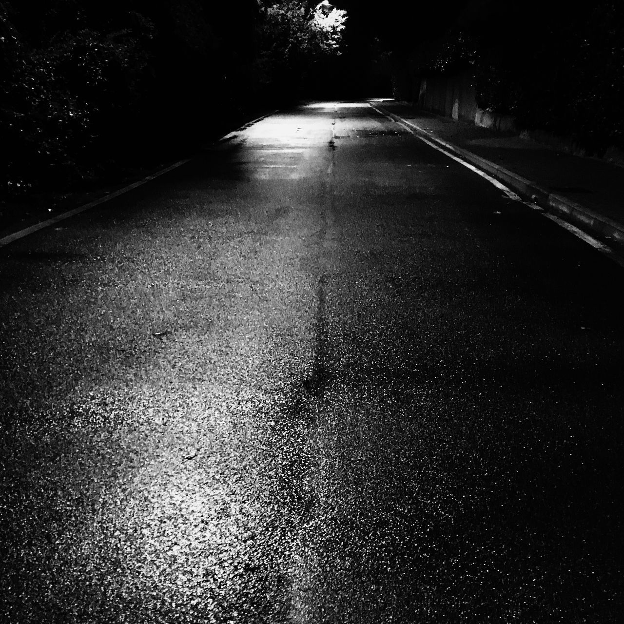 EMPTY ROAD ALONG TREES