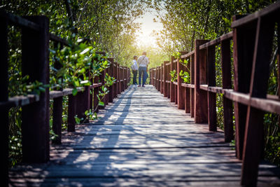 People on footbridge in forest