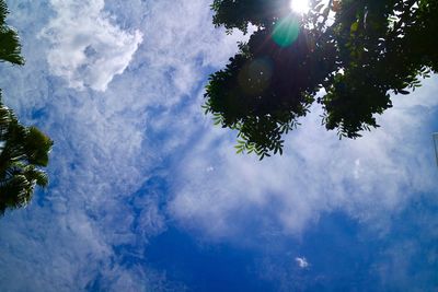 Low angle view of trees against blue sky