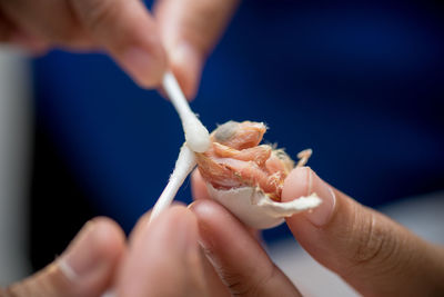 Midsection of person holding ice cream