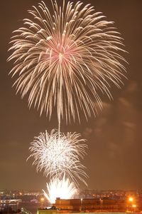 Firework display at night