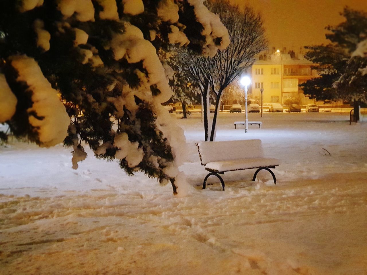 BENCH IN PARK DURING WINTER