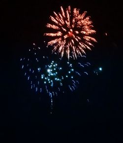 Low angle view of firework display at night