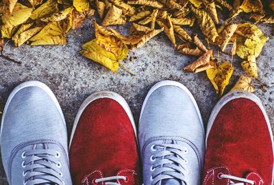 Close-up of gray and red shoes by yellow autumn leaves