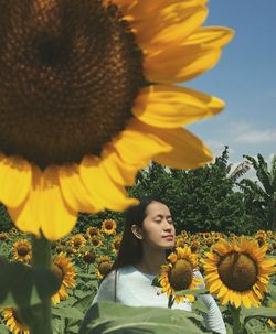 Young woman with eyes closed standing amidst sunflowers while standing against sky during sunny day
