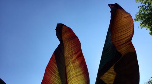 Low angle view of plants against clear blue sky