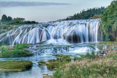 Scenic view of waterfall in forest