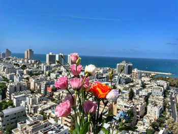 Scenic view of sea by buildings against blue sky