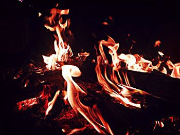Close-up of fire