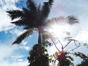 Low angle view of palm tree against sky