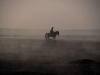 Man riding horse in sea against sky